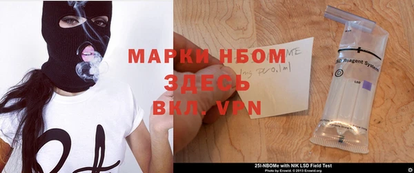гидра Дмитров