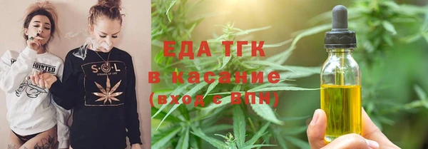 хмурый Гусь-Хрустальный