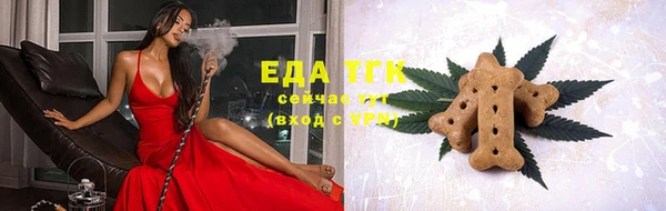 гидра Дмитров
