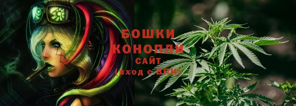 гидра Дмитров