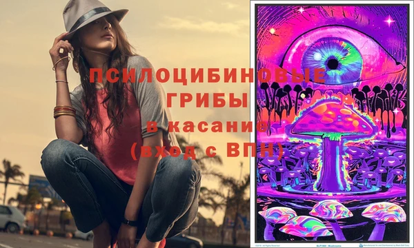 гидра Дмитров