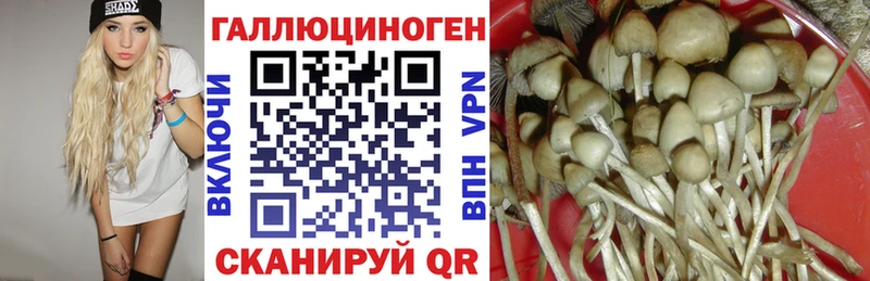 Купить  Котельнич  Галлюциногенные грибы мухоморы 